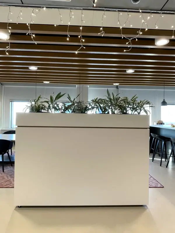 Voor: witte roomdivider met plantenbak, van opzij