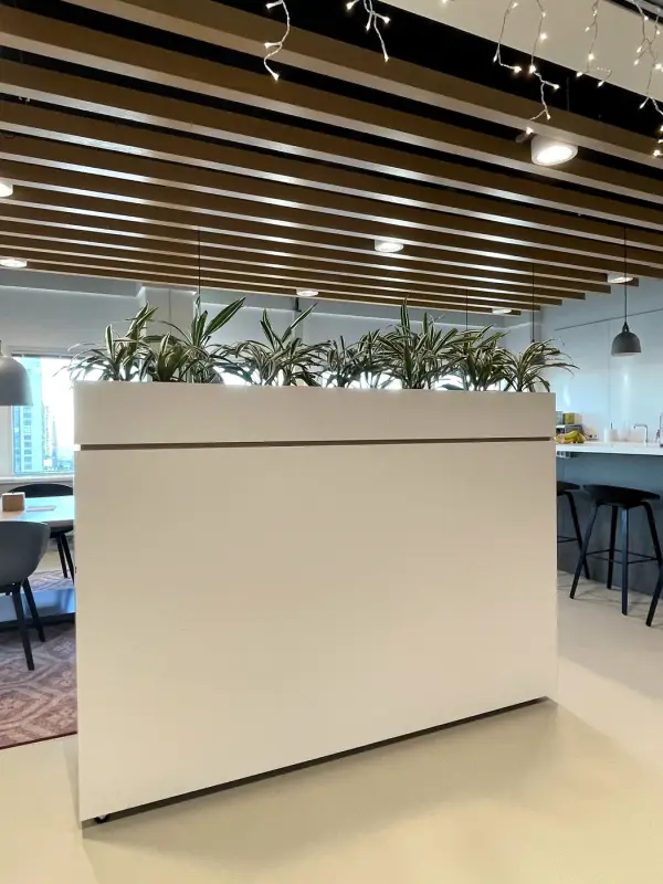 Voor: witte roomdivider met plantenbak, recht van voren
